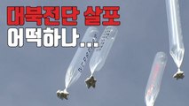 [자막뉴스] 대북단체 
