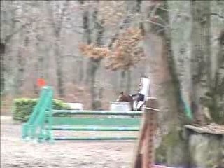 Mister Taillan  D1 02.12.07