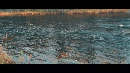 Samsung Galaxy S7 EDGE - FiLMiC Pro v6 (10)