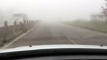 Nebbia sulla Strada Provinciale 231 (ex 98) tratto Corato - Terlizzi