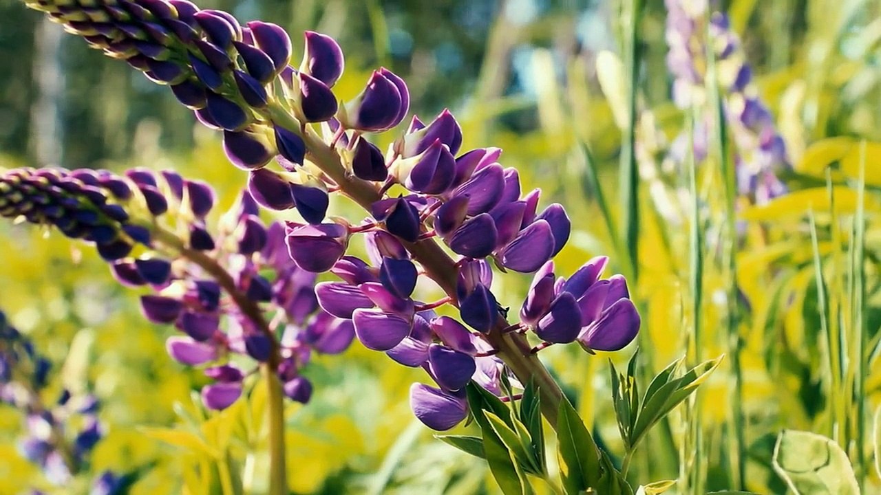 Dream The Future 08of10 Food Of The Future