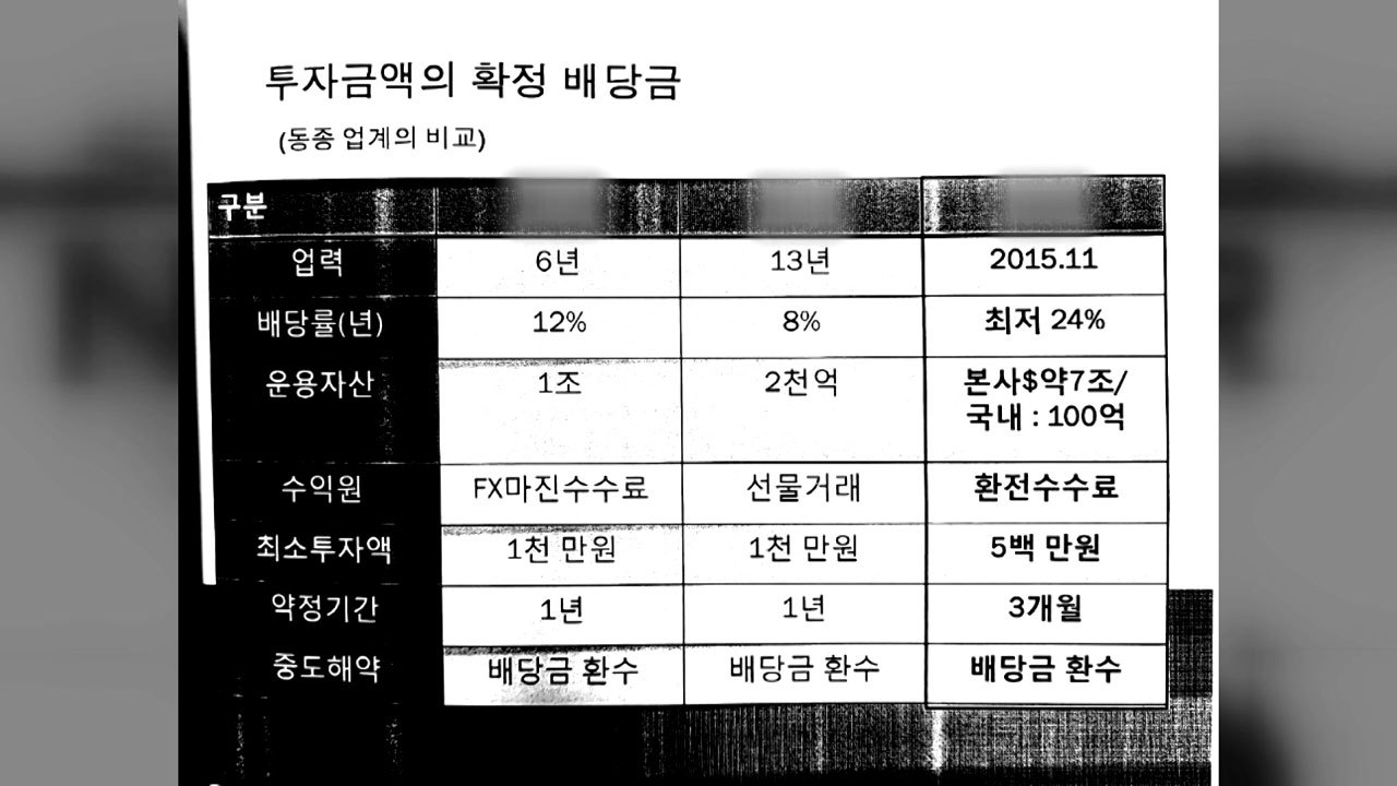 "고수익 보장" 투자금 수백억 꿀꺽...보험설계사도 끌어들여 / YTN