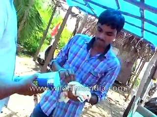 At Congress Function, Pigeons Stuffed in Rockets and Fired