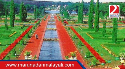 Three tourists killed as trees uproot at Brindavan Garden in Karnataka