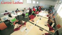 cartirelashes Wholesale Mink Lashes factory 3D Mink Lashes manufacturer 3D Silk Lashes