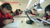 giannilashes Wholesale Mink Lashes factory 3D Mink Lashes manufacturer 3D Silk Lashes and Horse Lashes