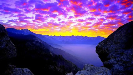 تلاوة خاشعة للشيخ مريد المزين - Quran Recitation