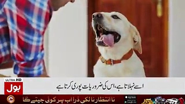 Jb 1 angrez Maa ny apny bete k khilaf court me muqaddma kr diya