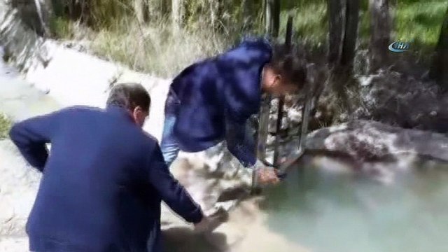 Sulama kanalında inci kefali için önlem