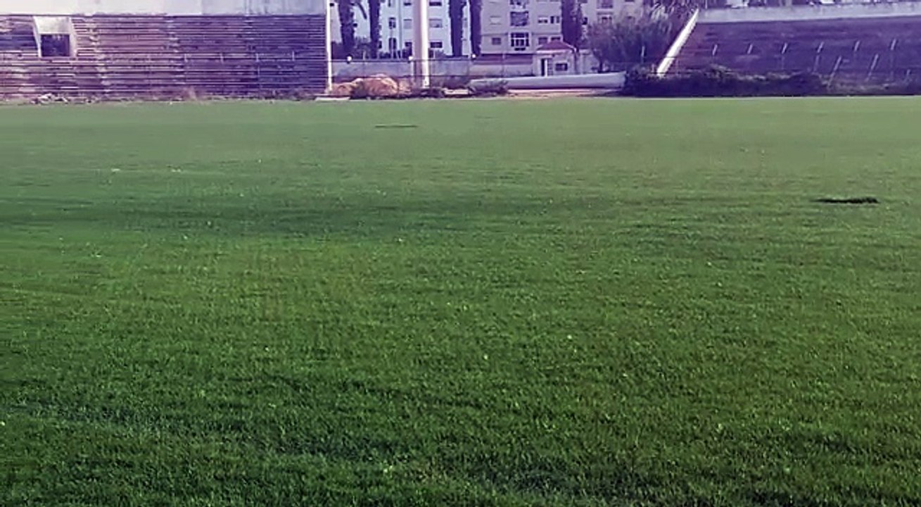 Substrat élaboré Fibrescape et gazon en développement par ART DAN sols sportifs