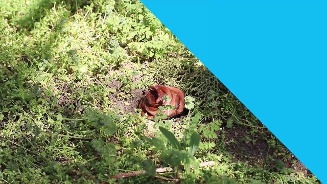 26 тайников для денег дома! Лайфхаки, как спрятать деньги