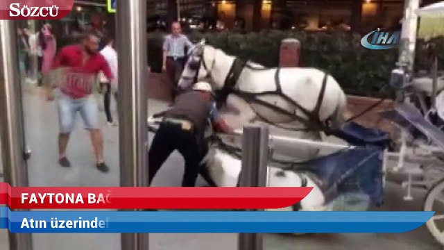 Faytona bağlı at bir anda yere yığıldı