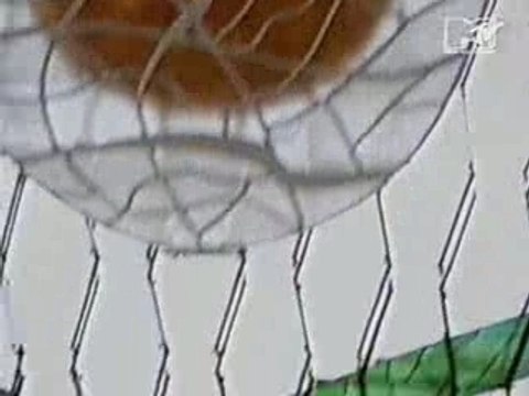 Front 242 - Religion