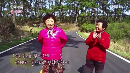 한국기행 - Korea travel_봄, 비비다 2부 함께 하니 좋은가 봄_#002