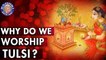 Do You Know? - Why Do We Worship Tulsi? | Interesting Facts & Importance About Tulsi