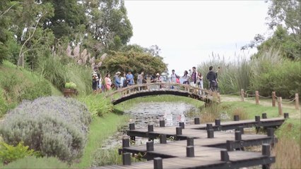 هذا الصباح- كامبوس دي خورداو المدينة الأجمل بالبرازيل