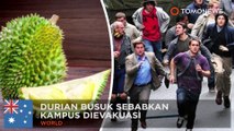 Bau duren bikin orang-orang panik di Australia hingga mengira ada kebocoran gas - TomoNews