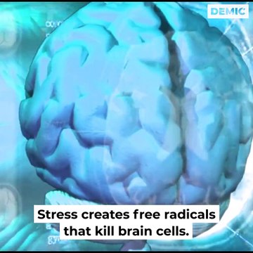 When you're stressed, What happens to your brain? Futusion | DIMIC | Future Vision | BRIGHT SIDE | BuzzFeedVideo | 5-Minute Crafts | 7-Second Riddles | Natural Cures | Home Remedies for Health | Natural Life Hacks | Natural Ways | Life Hacks |