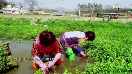 한국기행 - Korea travel_봄, 비비다 3부 언니야, 비비고 살자_#002