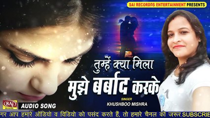 Tumhe Kya Mila Mujhe Barbaad Karke - सबसे दर्द भरा गीत - HINDI SAD SONGS - SAI RECORDDS
