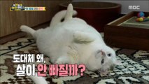 [Haha Land 2] 하하랜드2 -Manage diet for diet 20180502
