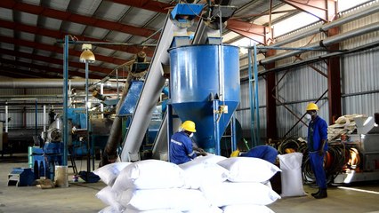 Angola: le rêve de la diversification par la pêche