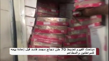 مباحث الفيوم تضبط 70 طن دجاج مجمد فاسد قبل إعادة بيعة للمواطنين والمطاعم
