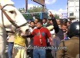 Politician mercilessly beats up a police horse,  breaks its legs