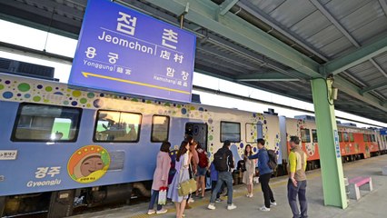 [경북] "봄 여행주간, 경북 나드리 열차 타고 떠나요" / YTN