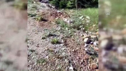 Otomobil devrildi: 4 yaralı - MUĞLA