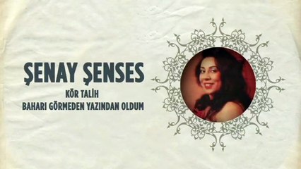 Şenay Şenses - Kör Talih / Baharı Görmeden Yazından Oldum (45'lik)