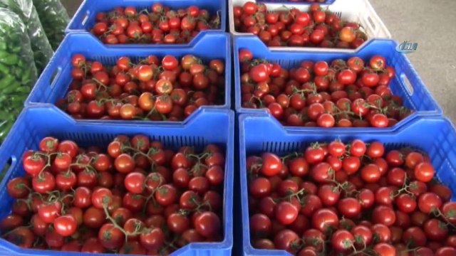 Rusya Amborgoyu Kaldırdı, Domates İhracatçısı Buruk Sevinç Yaşadı