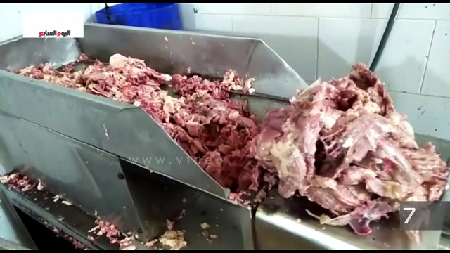 مباحث التموين تضبط ربع طن هياكل دواجن فاسدة بالإسماعيلية