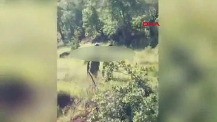 Etkisiz Hale Getirilen PKK'lı 2 Teröristin Silah ve Mühimmatları Ele Geçirildi