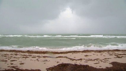 “Tërbimi i Irmës”, viktima në Florida - Top Channel Albania - News - Lajme