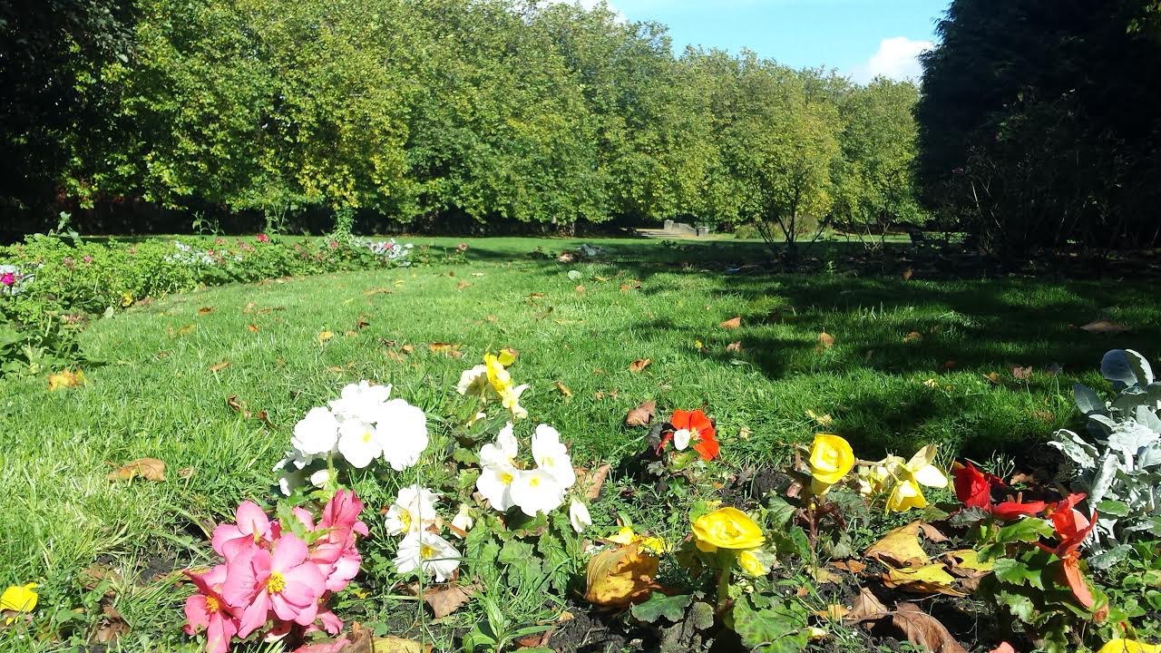 WEATHER: Your latest local forecast