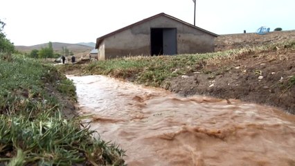 Koyun ve kuzuları sel götürdü