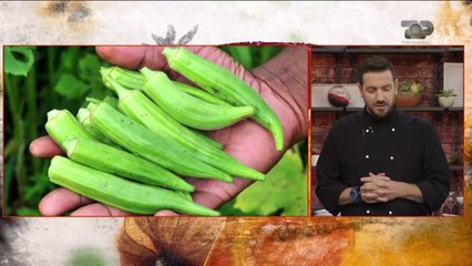 Ne Shtepine Tone, 11 Shtator 2017, Pjesa 1