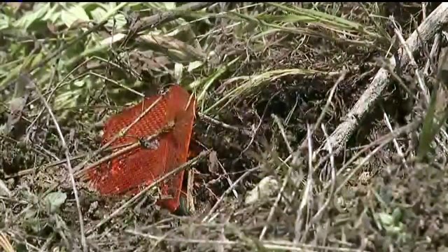 Man Drives Car Into River, Injures Woman in Road Rage Incident