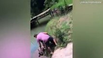 Cão arrastado para rio por cobra gigante resgatado com vida