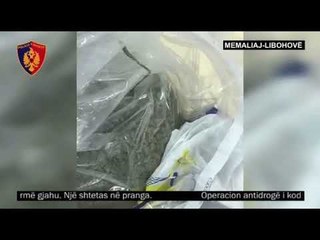 Tải video: Ora News - Dy operacione antidrogë, sekuestrohen 81 kg kanabis