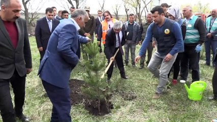 Hükümlüler fidan dikti - KARS