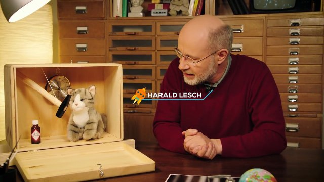 Schrödingers Katze – tot oder lebendig?