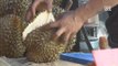 Online orders for durians shot up