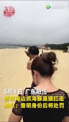 游客在广东抓到海豚直接扛走