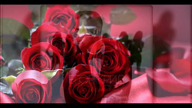 Елена Головань опять пошла на Холостяк 6 на ТНТ