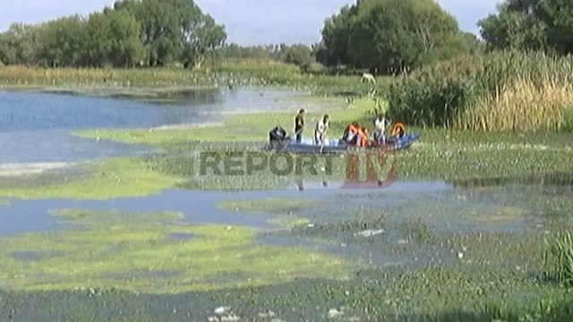 Report TV - Nis pastrimi i Liqenit të Shkodrës dhjetëra të rinj zbresin në terren