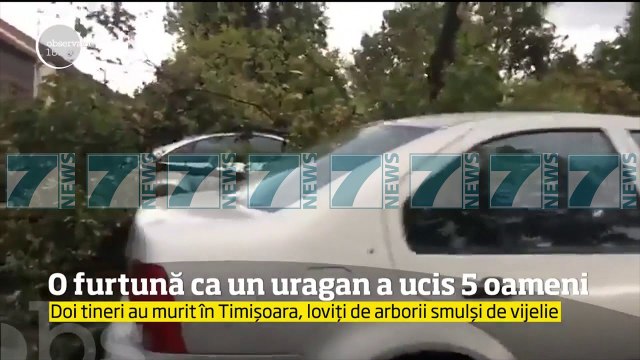 8 VIKTIMA DHE DHJETRA TE PLAGOSUR NGA MOTI I KEQ NE RUMANI - News, Lajme - Kanali 7