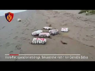 Ora News - Deti nxjerr 1 ton drogë në Fier