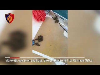Kapet 1 ton kanabis, skafistët hedhin drogën në det